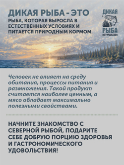 Уха из лосося благородная ТАЁЖНЫЙ ЦЕХ рыбные консервы 340 г