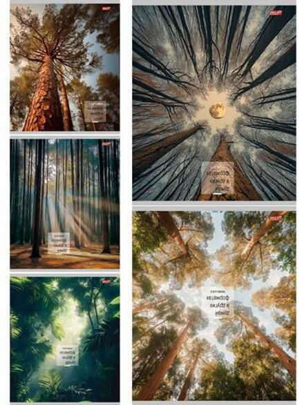 Тетрадь 48л, А5, клетка, Проф-Пресс Природный микс, ассорти, 1шт.