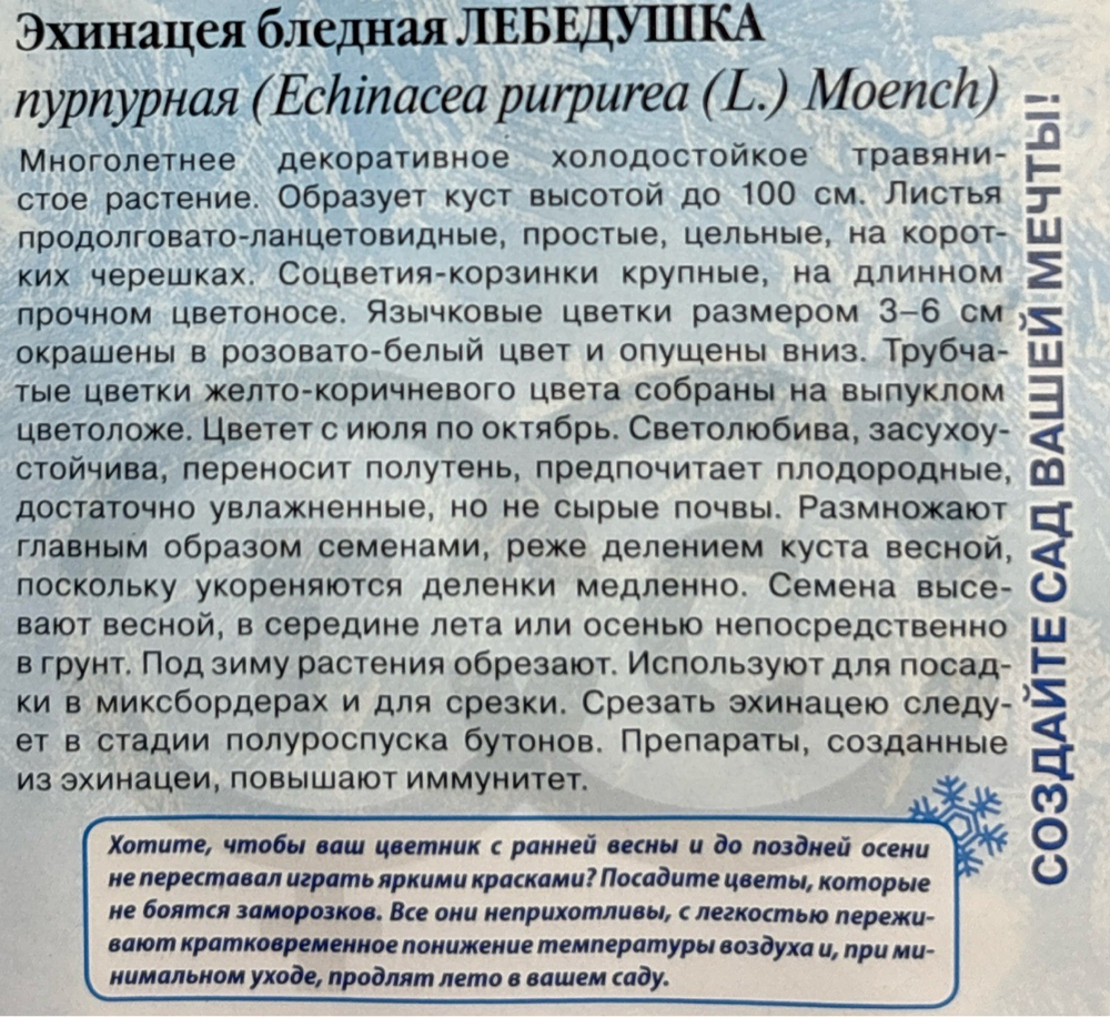 Эхинацея Лебедушка 0,1 г СМЦ-661