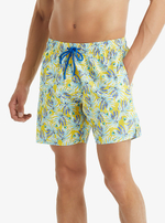 Мужские пляжные шорты мультиколор