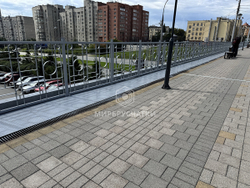 Сибревкомовский мост, г. Новосибирск