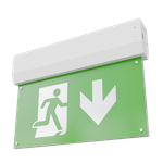 Светильник аварийный ДПО80-1-123 Faeton AT LED АСТЗ (Ардатов)