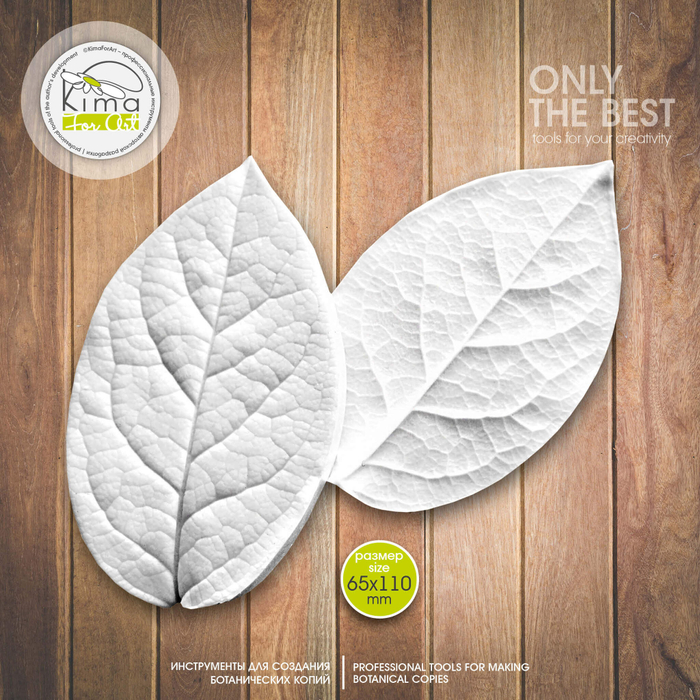 Салал лист большой