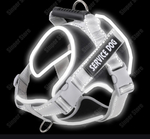 Шлейка и поводок «Service Dog»