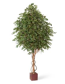 Крупномеры Treez Collection