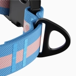 Ошейник Stripes