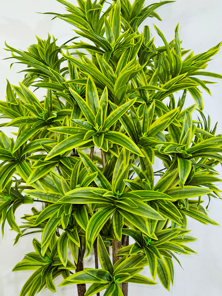 Искусственная Драцена Рефлекса желтая 110см в горшке