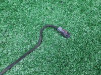 Проводка переднего бампера Haval F7 1 (2022-2024)