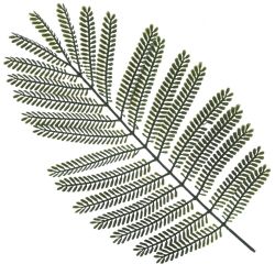 GAEM Цветочная композиция "Пальма", L75 W55 H120 см