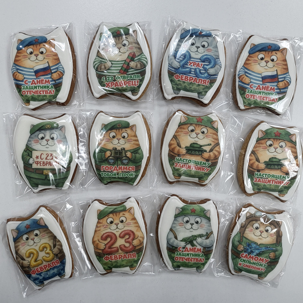 Пряник Кот 23 февраля ( в ассортименте)