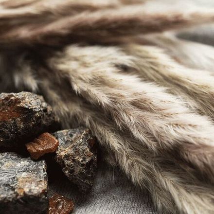 Кашемировый мускус (Cashmere Musk)