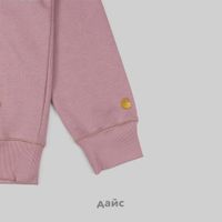  Толстовка мужская Carhartt WIP Hooded Chase Sweatshirt артикул:I033661_glassy_pink - купить в магазине Дайс
