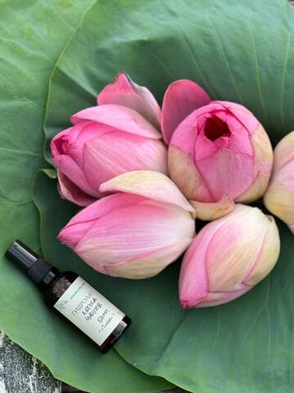 Гидролат лотоса цветов