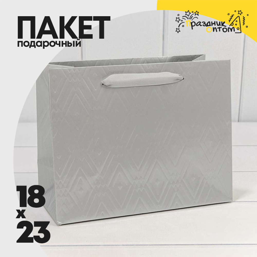 Пакет подарочный 23х18х10см Премиум "Элегант" (Серебряный)