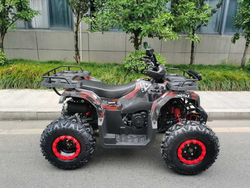 Квадроцикл MOTAX GRIZLIK T 200