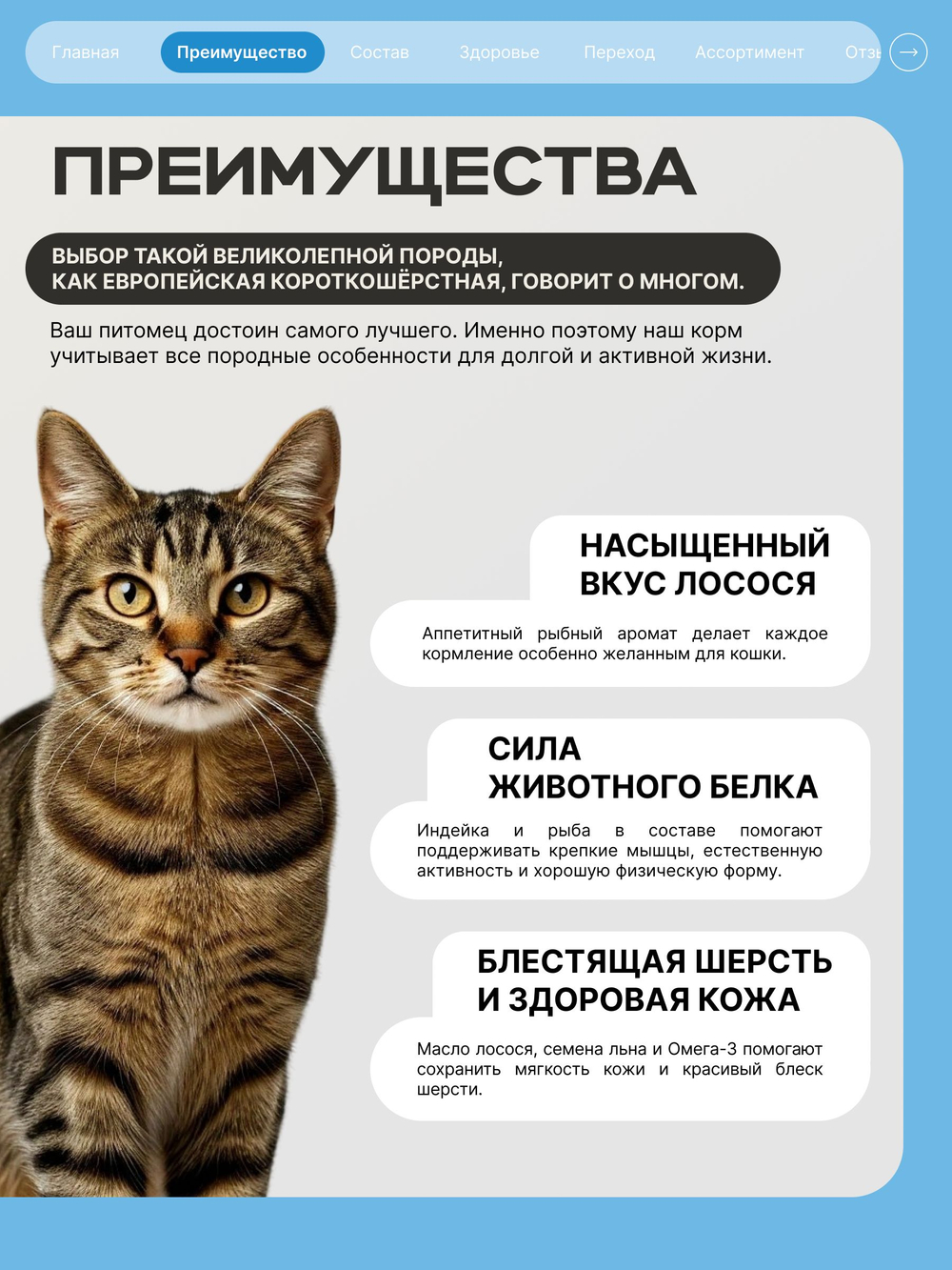 Корм сухой для взрослых кошек породы Европейская короткошёрстная, с лососем, 5 кг, QUATTRO