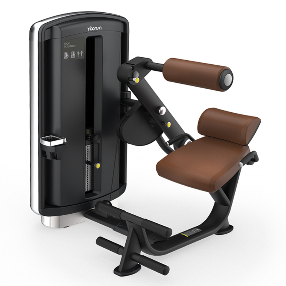 Разгибание спины INTENZA DEZIGN DL-05