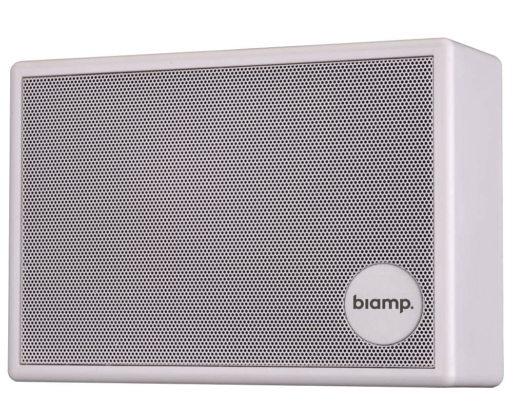 Акустическая система  BIAMP SM6-W