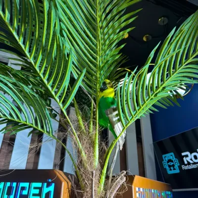 Автомат морской бой «Бродяги морей»