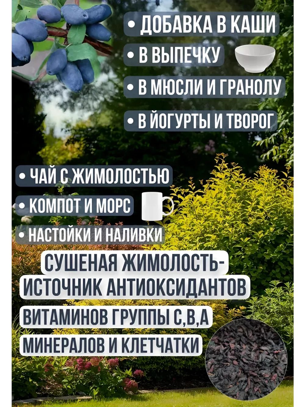 Жимолость сушеная