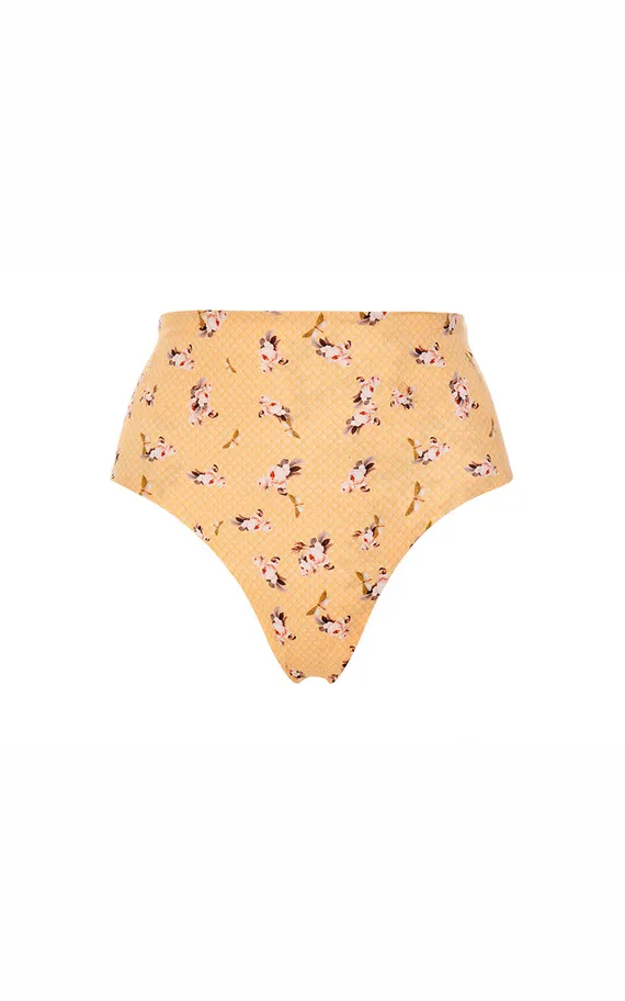 Плавки 7136 Alicia Zola