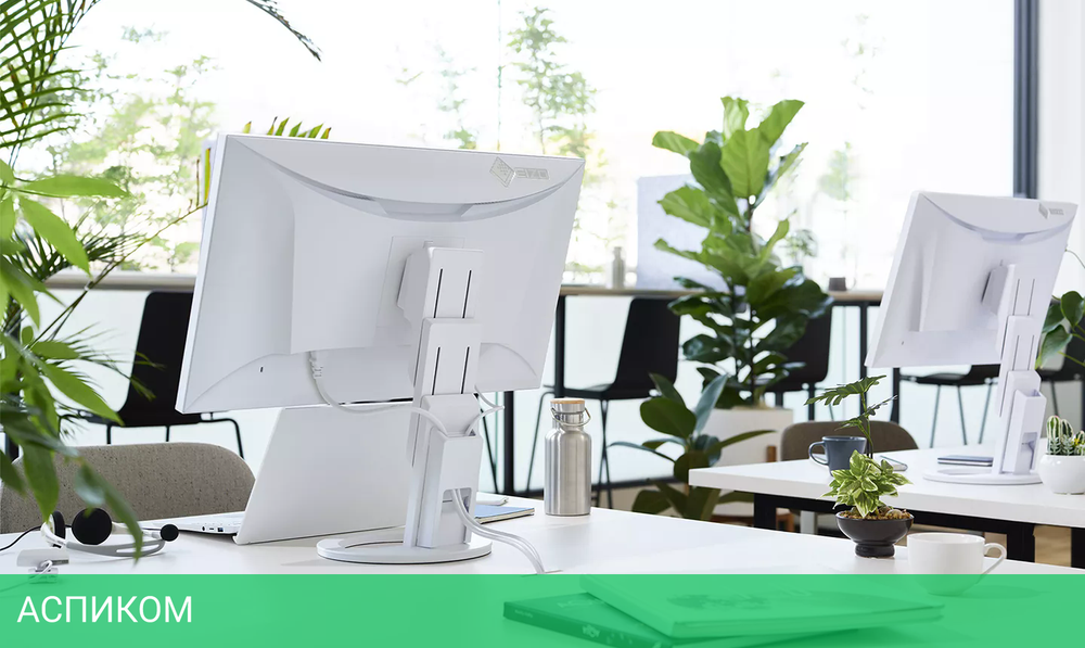 Монитор EIZO FlexScan EV2781-WT