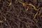 Dian Hong 3 (Yunnan Red Tea)