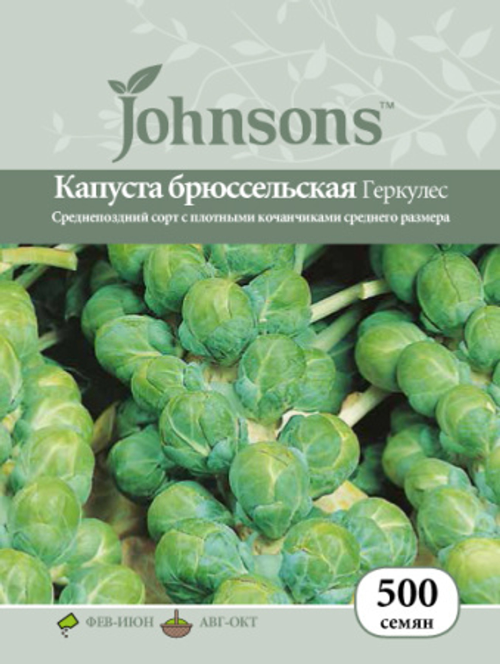 Капуста брюс. Геркулес Johnsons