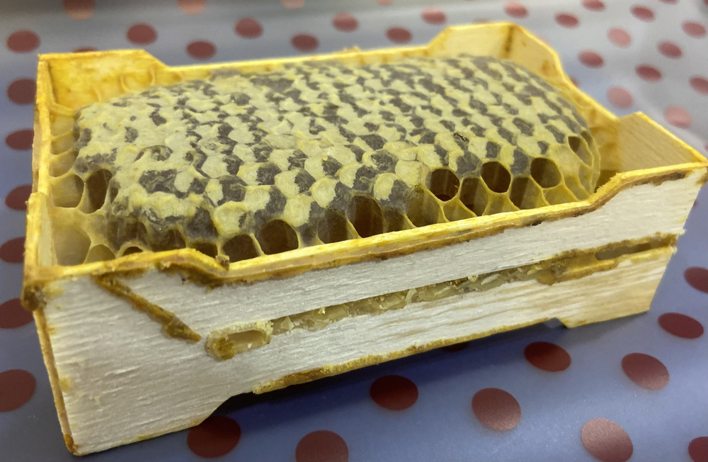 Мёд цветочный в мини- сотах разнотравный, Алтайский край, 385-490 гр.