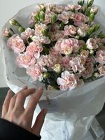 Моно букет из кустовых диантусов в нежно розовом оттенке 35 шт