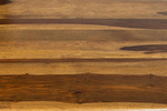 Стол Бомбей 0390-135 палисандр, 135*90*76, натуральный (natural)