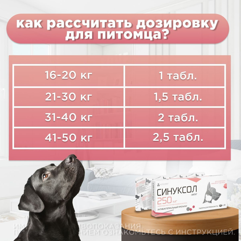 НИТА-ФАРМ Синуксол-нита 500 мг, таблетки, 10 шт. Амоксициллин.
