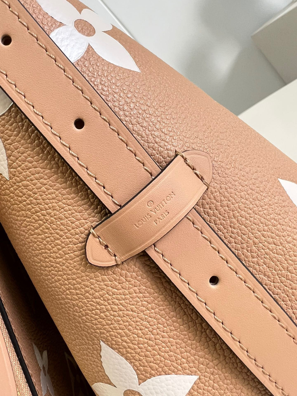 Louis Vuitton CarryAll PM