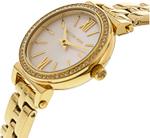 Наручные часы Michael Kors MK3833