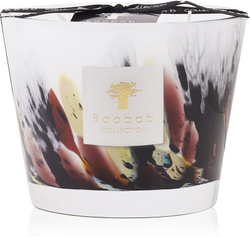 Baobab Collection Rainforest Tanjung - ароматическая свеча /  10 cm   / GTIN 5415198487000