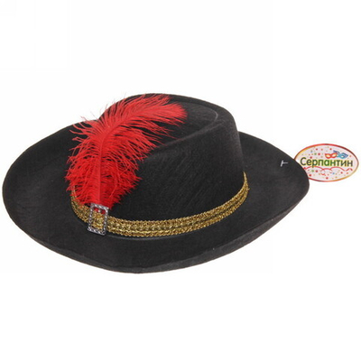 Шляпа карнавальная «Мушкетер» бордо с пером, d-30 см, микс