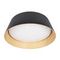 Потолочный светодиодный светильник Loft IT Evans 10224 Black