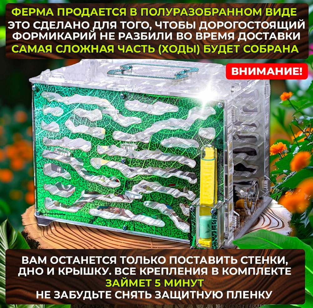 Самый Большой Формикарий с муравьями в подарок «Экосистема»