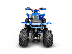 Квадроцикл YACOTA TYPHOON 250