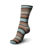 Regia Design Line 4 ply - 03655 (fall night color)