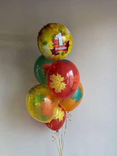 Набор шаров на 1 сентября №6