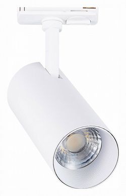 Светильник на штанге ST-Luce Mono ST350.536.20.36