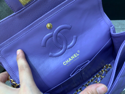 Chanel Bag 23 cm