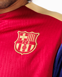 Барселона / Трен.костюм / Сине-гранатовый