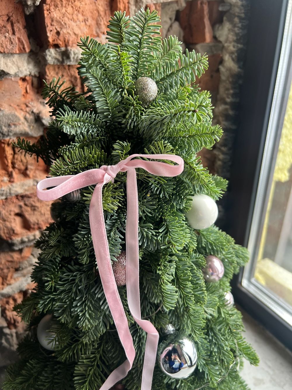 Елка из нобилиса h-55