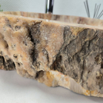 Раковина из окаменелого дерева FossilBasin OD-62138 54*43*15