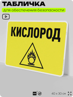 Табличка для обеспечения безопасности "Кислород", для производства, предприятия, организаций, 40х30 см, Silver Plane x Айдентика Технолоджи