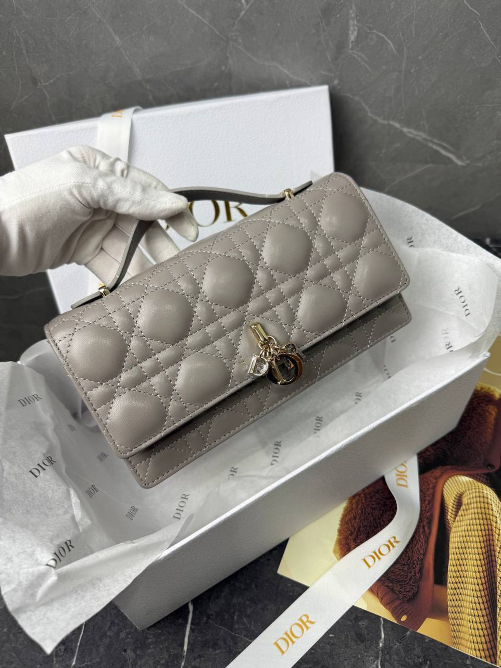Сумка Christian Dior
