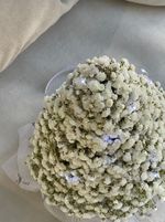 Ёлка из гипсофилы