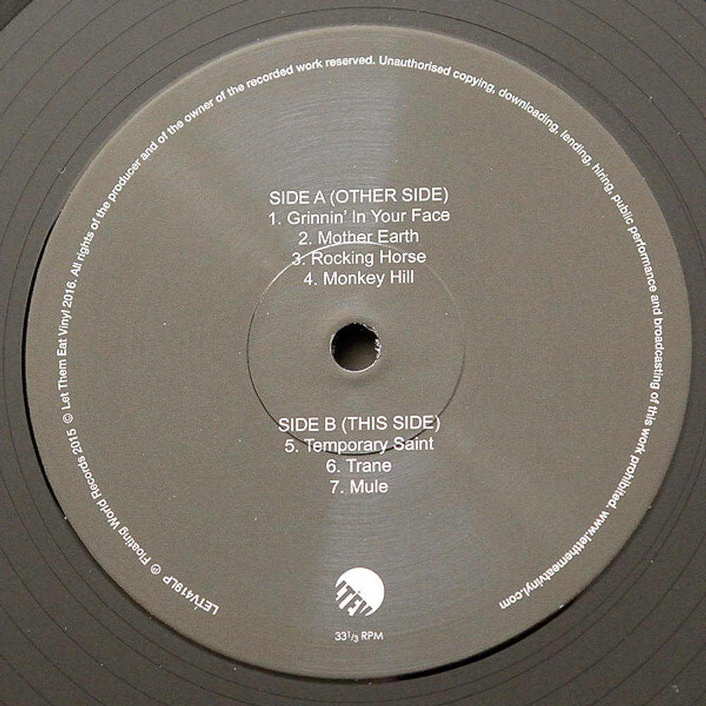 Gov't Mule / Gov't Mule (2LP)